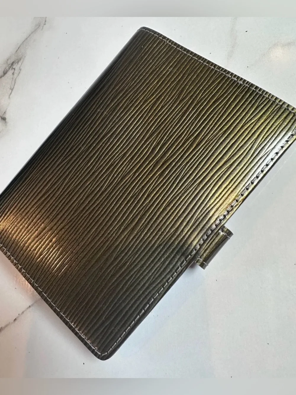 Louis Vuitton brand louis